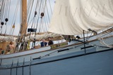 irene of bridgwater 110712 1677 tship11